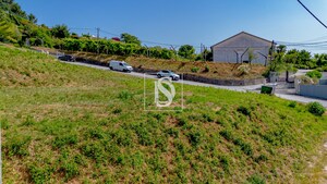 Terreno Rstico T0 - Amarante, Amarante, Porto - Miniatura: 24/25