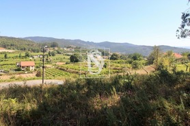 Terreno Rstico T0 - Vila Garcia, Amarante, Porto - Miniatura: 4/11
