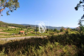 Terreno Rstico T0 - Vila Garcia, Amarante, Porto - Miniatura: 5/11