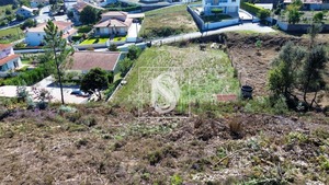Terreno Rstico T0 - Vila Garcia, Amarante, Porto - Miniatura: 9/11