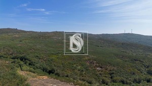 Terreno Rstico T0 - Gouveia (So Simo), Amarante, Porto - Miniatura: 3/16