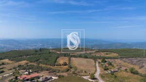 Terreno Rstico T0 - Gouveia (So Simo), Amarante, Porto - Miniatura: 5/16
