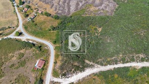 Terreno Rstico T0 - Gouveia (So Simo), Amarante, Porto - Miniatura: 6/16