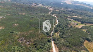 Terreno Rstico T0 - Gouveia (So Simo), Amarante, Porto - Miniatura: 9/16