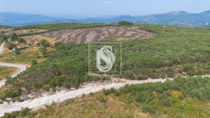 Terreno Rstico T0 - Gouveia (So Simo), Amarante, Porto - Miniatura: 15/16