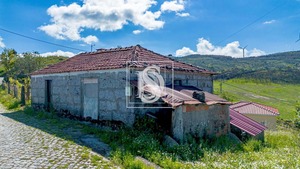 Moradia T1 - Loivos do Monte, Baio, Porto - Miniatura: 22/23