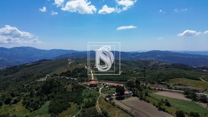 Terreno Rstico T0 - Soalhes, Marco de Canaveses, Porto - Miniatura: 1/10