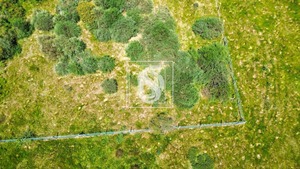 Terreno Rstico T0 - Soalhes, Marco de Canaveses, Porto - Miniatura: 6/10