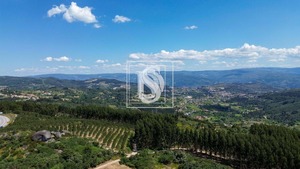 Terreno Rstico T0 - Soalhes, Marco de Canaveses, Porto - Miniatura: 9/10