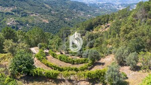 Apartamento T0 - Bustelo, Amarante, Porto - Miniatura: 3/54