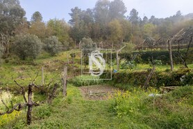 Apartamento T0 - Bustelo, Amarante, Porto - Miniatura: 14/54