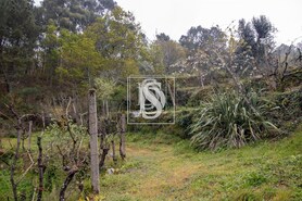 Apartamento T0 - Bustelo, Amarante, Porto - Miniatura: 16/54