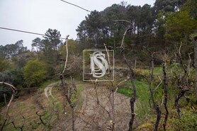 Apartamento T0 - Bustelo, Amarante, Porto - Miniatura: 18/54