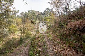 Apartamento T0 - Bustelo, Amarante, Porto - Miniatura: 19/54