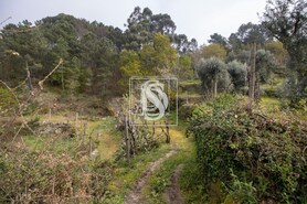 Apartamento T0 - Bustelo, Amarante, Porto - Miniatura: 21/54