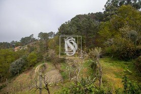 Apartamento T0 - Bustelo, Amarante, Porto - Miniatura: 22/54