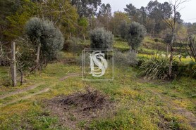 Apartamento T0 - Bustelo, Amarante, Porto - Miniatura: 23/54