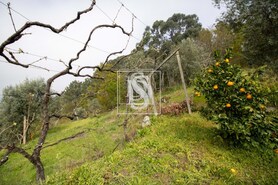 Apartamento T0 - Bustelo, Amarante, Porto - Miniatura: 28/54