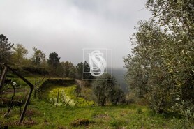 Apartamento T0 - Bustelo, Amarante, Porto - Miniatura: 30/54