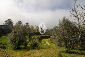 Apartamento T0 - Bustelo, Amarante, Porto - Miniatura: 31/54