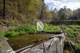 Apartamento T0 - Bustelo, Amarante, Porto - Miniatura: 32/54