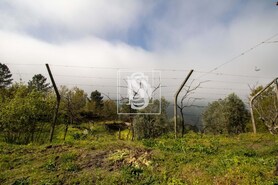 Apartamento T0 - Bustelo, Amarante, Porto - Miniatura: 34/54