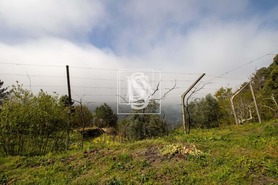 Apartamento T0 - Bustelo, Amarante, Porto - Miniatura: 35/54