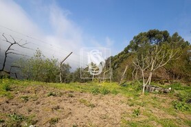 Apartamento T0 - Bustelo, Amarante, Porto - Miniatura: 38/54