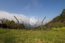 Apartamento T0 - Bustelo, Amarante, Porto - Miniatura: 41/54