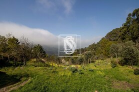 Apartamento T0 - Bustelo, Amarante, Porto - Miniatura: 43/54