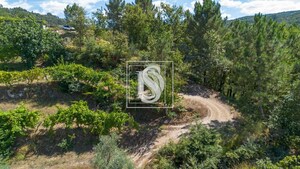 Apartamento T0 - Bustelo, Amarante, Porto - Miniatura: 49/54