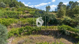 Apartamento T0 - Bustelo, Amarante, Porto - Miniatura: 51/54