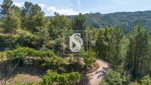 Apartamento T0 - Bustelo, Amarante, Porto - Miniatura: 52/54