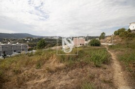 Terreno Rstico T0 - Amarante, Amarante, Porto - Miniatura: 10/15