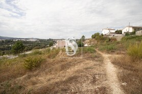 Terreno Rstico T0 - Amarante, Amarante, Porto - Miniatura: 12/15