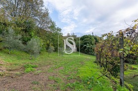 Moradia T0 - Gouveia (So Simo), Amarante, Porto - Miniatura: 36/43