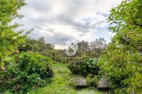 Moradia T0 - Gouveia (So Simo), Amarante, Porto - Miniatura: 37/43