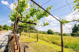 Moradia T3 - Lufrei, Amarante, Porto - Miniatura: 11/47