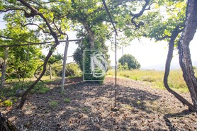 Moradia T3 - Lufrei, Amarante, Porto - Miniatura: 19/47