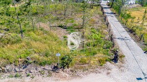 Terreno R�stico T0 - Fregim, Amarante, Porto - Miniatura: 1/21