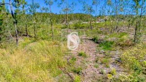 Terreno R�stico T0 - Fregim, Amarante, Porto - Miniatura: 4/21