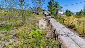 Terreno R�stico T0 - Fregim, Amarante, Porto - Miniatura: 5/21