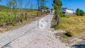 Terreno R�stico T0 - Fregim, Amarante, Porto - Miniatura: 6/21