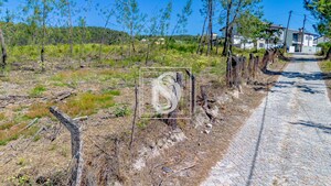 Terreno R�stico T0 - Fregim, Amarante, Porto - Miniatura: 7/21