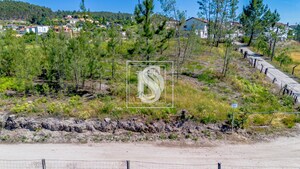 Terreno R�stico T0 - Fregim, Amarante, Porto - Miniatura: 10/21