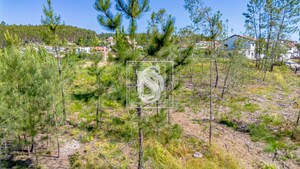 Terreno R�stico T0 - Fregim, Amarante, Porto - Miniatura: 11/21