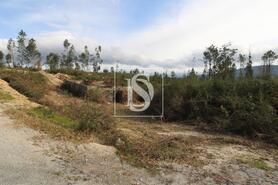 Terreno R�stico - Salvador do Monte, Amarante, Porto - Miniatura: 8/15
