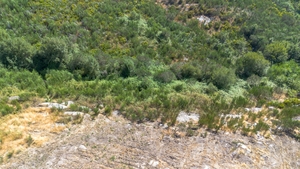 Terreno R�stico - Gouveia (S�o Sim�o), Amarante, Porto - Miniatura: 9/16