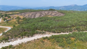 Terreno R�stico - Gouveia (S�o Sim�o), Amarante, Porto - Miniatura: 12/16