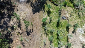 Terreno R�stico - Gouveia (S�o Sim�o), Amarante, Porto - Miniatura: 8/18